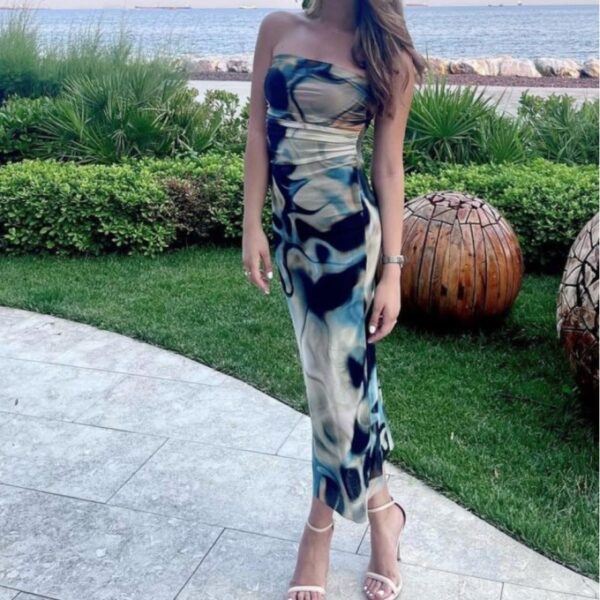 Printed Tube Slim Fit Dress