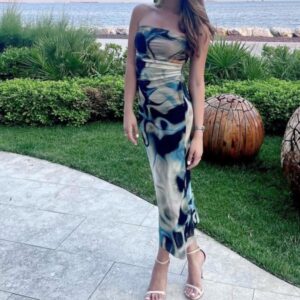Printed Tube Slim Fit Dress