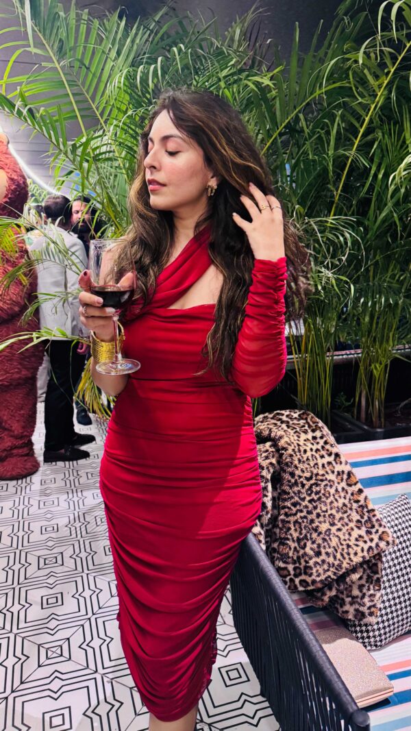 Mesh Maroon Bodycon Dress