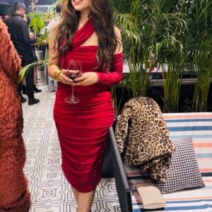 Mesh Maroon Bodycon Dress