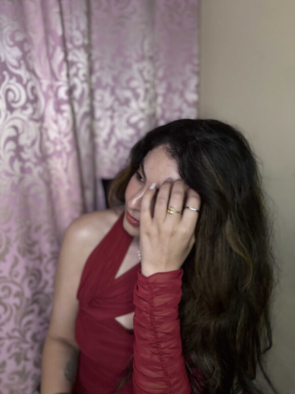 Mesh Maroon Bodycon Dress