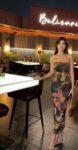Tube Printed Mesh Dress