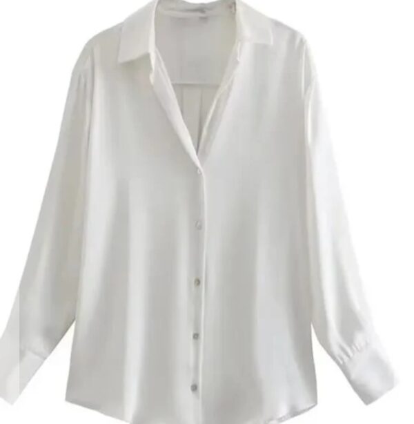 Satin Shirt