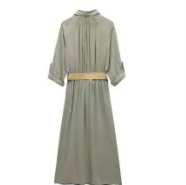 Shirt Belt Dress