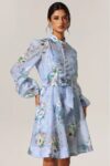 Diamond Printed Dress